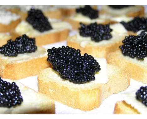 10 Affluent Fish Egg Finds
