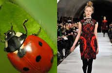 35 Ladybug-Like Fashions