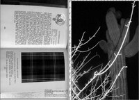 Psychedelic Art Displays Image 7