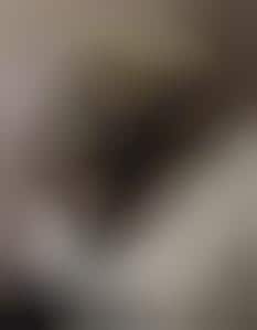 Humanimal Photo Competitions