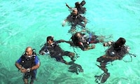 Underwater Board Meetings Image 3