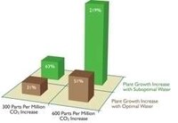 Green Disinformation Image 3