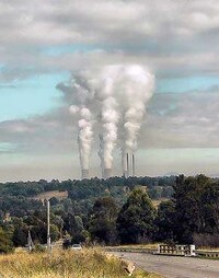 Green Disinformation Image 5