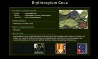 Cataloging Recreational Drugs Image 4