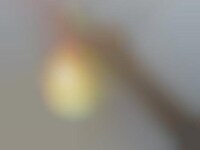2D Task Lamps Image 1