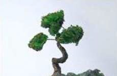 13 Mother Nature Rings