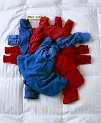 Anatomical Gum Image 6
