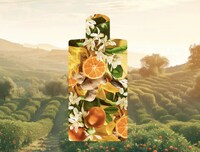 Summer-Inspired Scent Collections Image 3