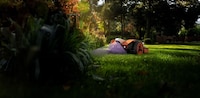 Powerful Outdoor Lawn Devices Image 1