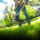 Powerful Outdoor Lawn Devices Image 2