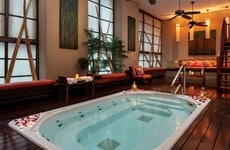 Luxe Modern Spas