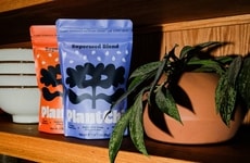 Nourishing Seed Blends
