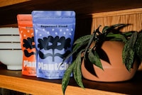 Nourishing Seed Blends Image 1