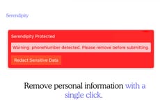 AI Data Filters