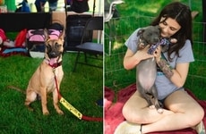 Large-Scale Adoption Initiatives