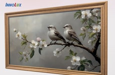 Cutting-Edge Display Technologies