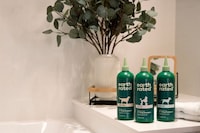 Pet Day Essentials Image 3