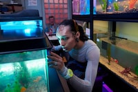 Aquatic-Themed Watch Collections Image 1