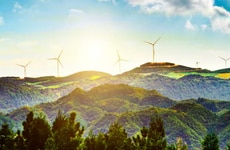 Carbon Offset Platforms