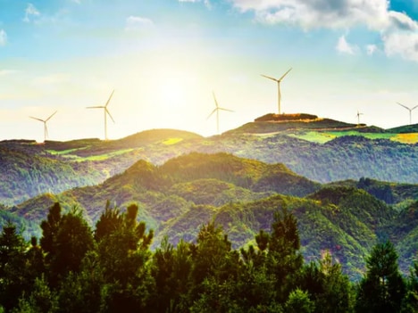 Carbon Offset Platforms