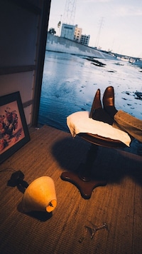 Comfort-Centric Collaborative Mules