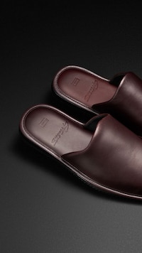 Comfort-Centric Collaborative Mules Image 2