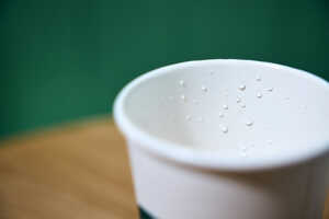 Compostable QSR Coffee Cups Article Thubnail