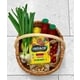 Plant-Based Moroccan Dishes Image 1