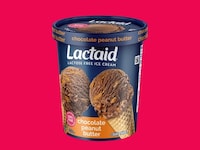 Indulgent Lactose-Free Frozen Treats Image 1