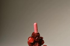 Intimate Wellness Probiotic Capsules