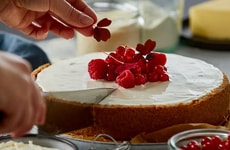 Zero-Waste Dairy Production Solutions Article Thumbnail