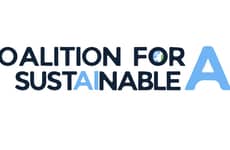 Sustainable AI-Focused Coalitions