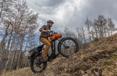 Cargo-Friendly Off-Road eBikes