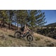 Cargo-Friendly Off-Road eBikes Image 6