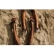 Limited-Edition Beach Sandals Image 1