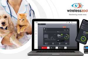 Animal Monitoring Solutions Article Thubnail
