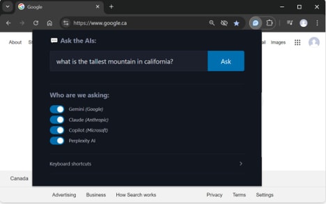 Multi-AI Interface Extensions
