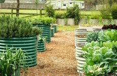 Home Gardening Solutions