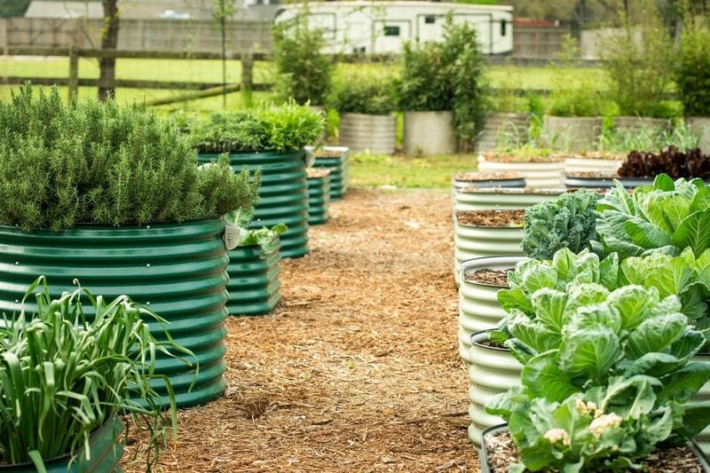 Home Gardening Solutions Article Thubnail