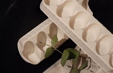 Bio-Based Packaging Solutions