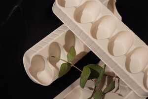 Bio-Based Packaging Solutions Article Thubnail
