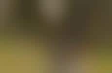 Escapism-Inspired Streetwear Apparel