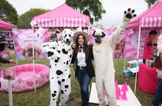 Luxurious Canine-Celebrating Events