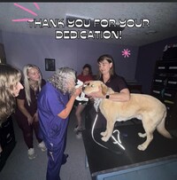 Accessible Dog Training Facilities
