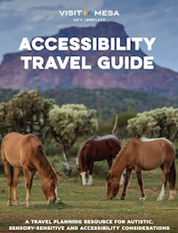 Digital Accessibility Travel Guides