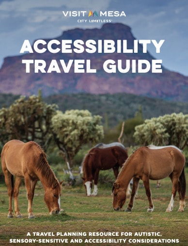 Digital Accessibility Travel Guides