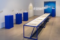 Immersive Glass Art Exhibits Image 3