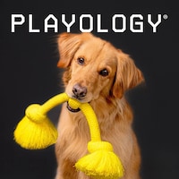 Curated Dog Toys