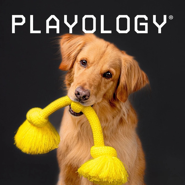 Curated Dog Toys