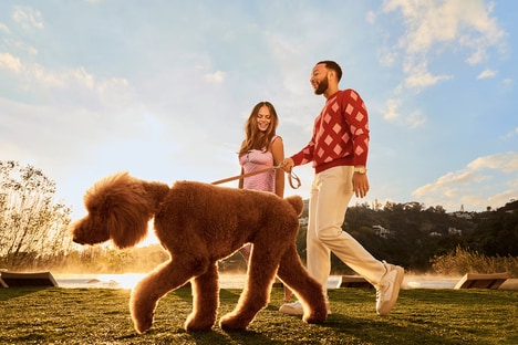 Premium D2C Pet Food